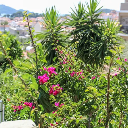 La Fleur Aparthotel Città di Skiathos